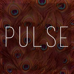 PULSE MIX NO. 3 • HUN GRRR