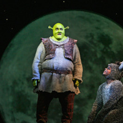 Who I'd Be (from Shrek the Musical)