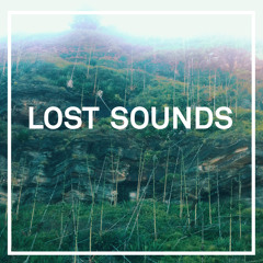 Lost Sounds 2014