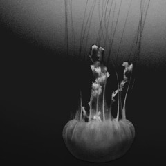 louguzzo - Rewinding The Mind