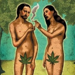 ₣ЄϨ₮ỊV∆Ɫ ₮Я∆Ᵽ MỊX