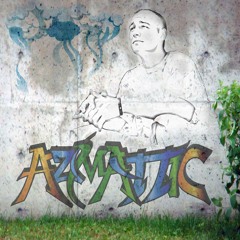 Ax attic