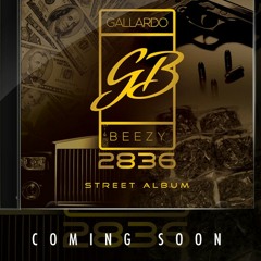 GallardoBeezy Ft Tenfoe & JitJames- Slow Down prod By Castro