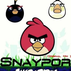 Snaypor - Angry Birds (Original Mix)
