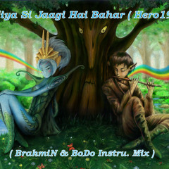 NiNdiYa Se JaGi BaHaR ( BrahmiN & BoDo InstrumiX)