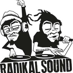 𝐏𝐔𝐏𝐏𝐀𝐒𝐎𝐍𝐈𝐂 feat Radikalsound - Dubplate sonnez l'alarme