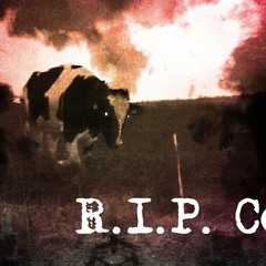 R.I.P. Cows