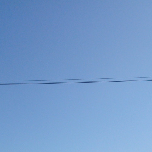 The Gardener In The City