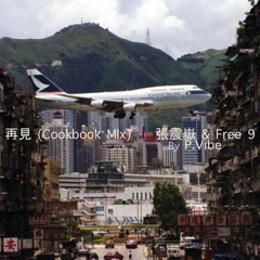 再見 (Cookbook MIx)  l  張震嶽 & Free 9  l  by P.Vibe