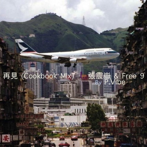 再見 (Cookbook MIx)  l  張震嶽 & Free 9  l  by P.Vibe