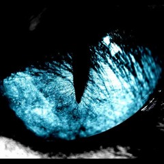 Fockos - Mini MAïMIMAL