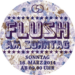 Frenchwork @ FLUSH, Cafe Gold ZH, 16.03.14