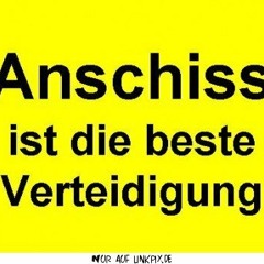 MIR FEHLEN DIE WORTE2014-03-22