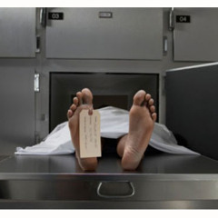 Body Bags (Prod. JUX)