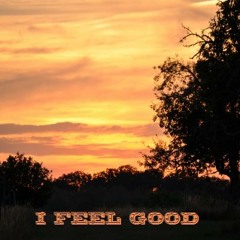 James Brown - I Feel Good ( THAWA FRESH Remix)