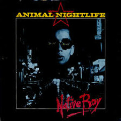 Animal Nightlife - Native Boy '83   Dennis Bovell Remix