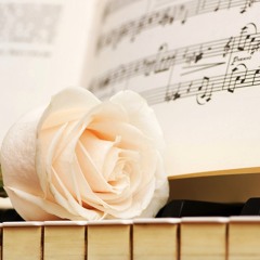 Early morning softness