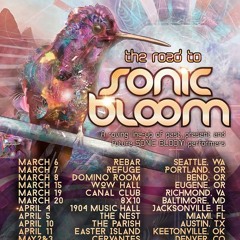 Akasha's Opening Set For Kaminanda - Futexture A/V Deloscinari @ The Canal Club RVA Eq Productions 2