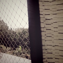 O som do vento atravessando as árvores...