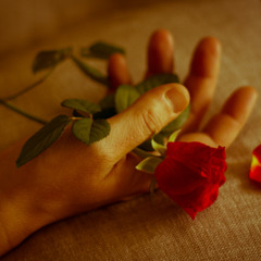 Lies Ahead-SWD1211 Original Mix