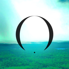 DolphinRidinWaveRacer