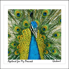 Applaud For My Peacock [Applause x Peacock]