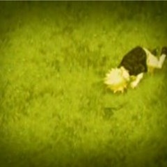 Alone - Naruto ost - Toshiro Masuda