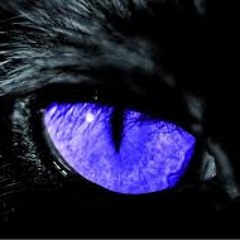 Dark (Dj set)