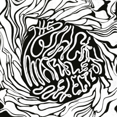 Journey Through Sound