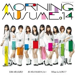 モーニング娘。'14 / 君の代わりは居やしない [Morning Musume '14 / No One Can Replace You]