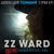 Artwork for ZZ Ward - Last Love Song(Live with Overture)