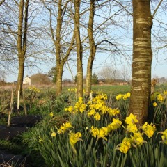 Day 2 - Tonglen Retreat: Led meditation