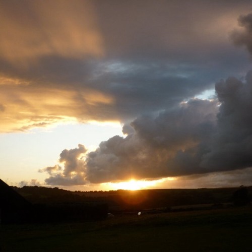 HanB J by Salvatore & Hamilton