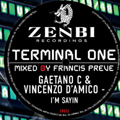 Gaetano C & Vincenzo D'amico - Transport (Original Mix) / TERMINAL ONE - ZENBI RECORDINGS