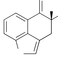 Molekular (No Input)