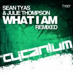 What I Am (Bryan Kearney Remix) - Sean Tyas & Julie Thompson