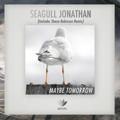 Maybe Tomorrow - Seagull Jonathan (Shane Robinson Remix)