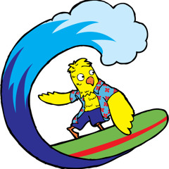 Surfing Rock Bird.MP3