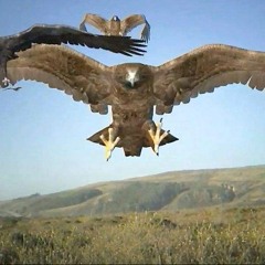 there ever was (ft. randy newman)