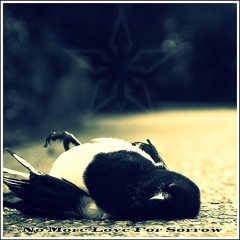 No More Love For Sorrow