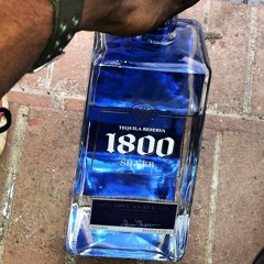 1800 my family