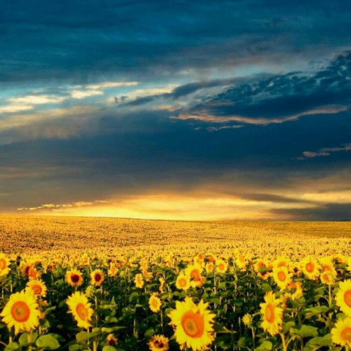 I Got that Holy Ghost