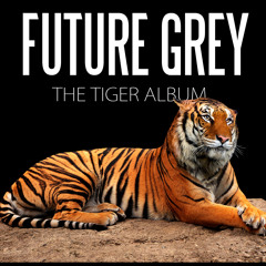 The Tiger Album