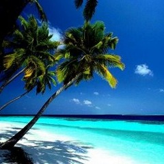 Rayuan Pulau Kelapa (Me, Agasa, Marsa, Zhazha, Seto, Maya )