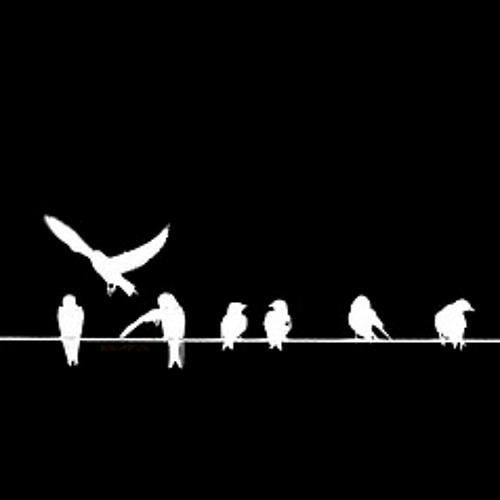 On The wire by Mostly Ghostly