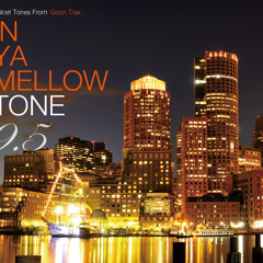VILLAGE VANGUARD LIMITED 「IN YA MELLOW TONE 9.5」 Special Digest