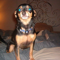 To the wind in chunks