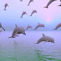 F*CK U ALL THE TIME (DOLPHIN TEARS REMIX)