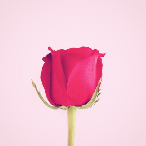 You (ten2five) cover