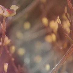 We Have Always Existed and Always Will